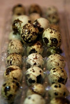 salvador, bahia / brazil - may 5, 2020: quail eggs are seen stored in a kitchen in the city of Salvador.


