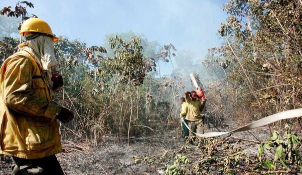 prado, bahia / brazil - december 8, 2009: brigade members fight forest fire in native forest in the Discovery National Park, in the municipality of Prado. 
