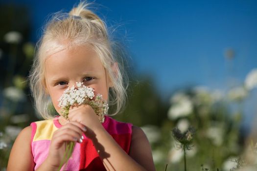 A nice young girl sniffing on yarrow