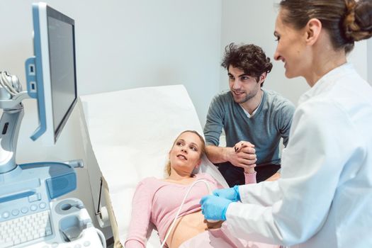 Couple in reproduction clinic being happy as the wife is pregnant as revealed by ultrasonic examination