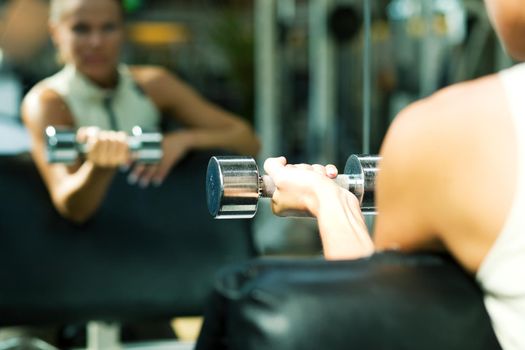 Woman lifting dumbbells in a gym, seeing herself in a mirror (focus only on the dumbbell)