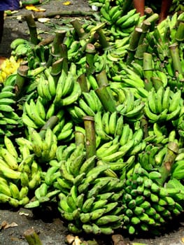 salvador, bahia / brazil - eeptember 11, 2005: Bananas are seen for sale at a free market in the city of Salvador