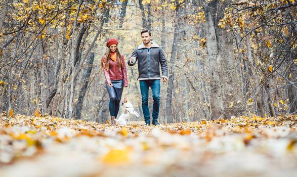 Young couple walking with their dog in a colorful autumn forest having fun outdoors