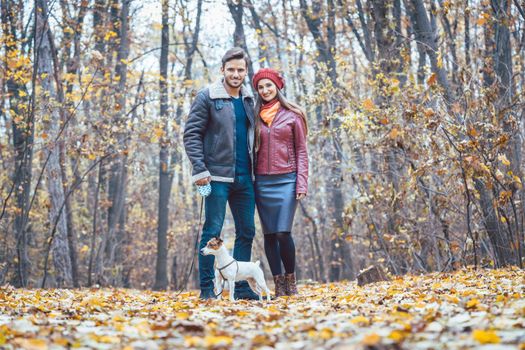 Couple in fall having walk with dog in a park playing with the pet