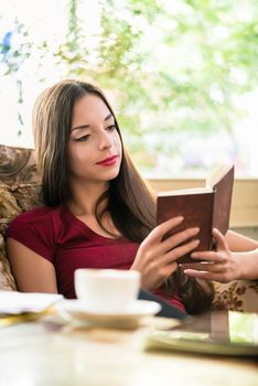 Relaxed attractive young woman enjoying a book sitting reading in a comfortable armchair at home with a serene expression