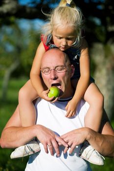 Young girl on sitting on daddy’s shoulders feeding him with an apple