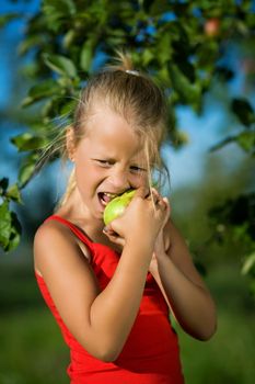 Little girl making a grimace having a nibble of a sour apple