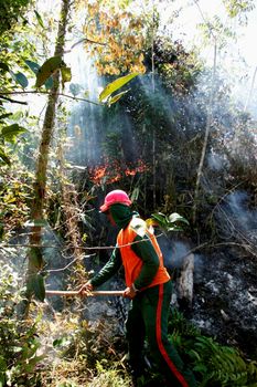 prado, bahia / brazil - december 8, 2009: brigade members fight forest fire in native forest in the Discovery National Park, in the municipality of Prado. 