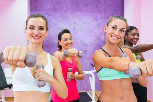 Determined beautiful women smiling while exercising with dumbbells for toned arms during group class in a contemporary fitness club