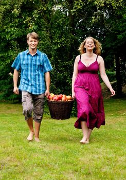 Couple (man and woman) carrying a basket with freshly harvested apples