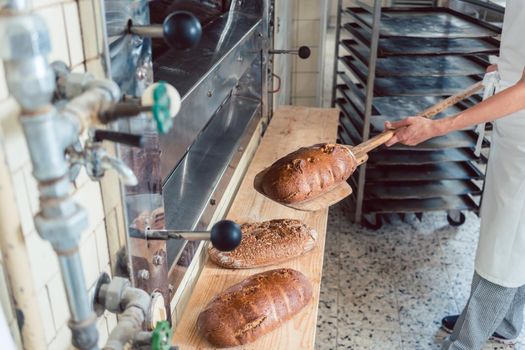 Woman in bakery putting bread on board with baking shovel