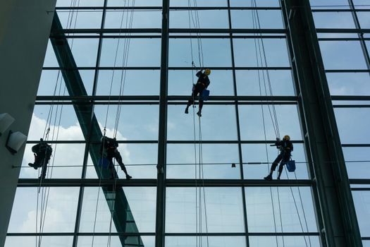 Professional window cleaners climbing up facade on ropes