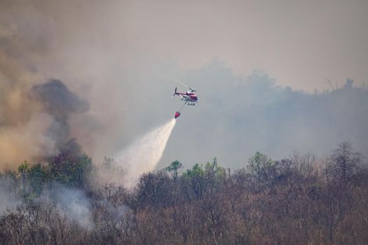 Helicopter dropping water on forest fire