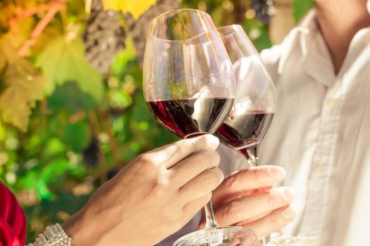 Vintner couple clinking wine glasses in vineyard, close-up