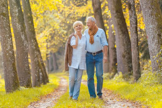 Senior woman and man, a couple, embracing each other having walk in the fall forest