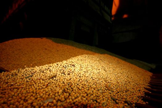 ilheus, bahia / brazil - july 19, 2011: cart is seen during soybean landing for export at the port of Ilheus.


