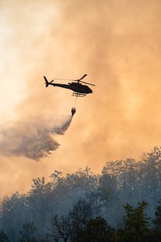 Helicopter dumping water on forest fire