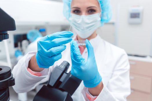 Scientist in laboratory showing petri dish with fertilized egg cell in her hand