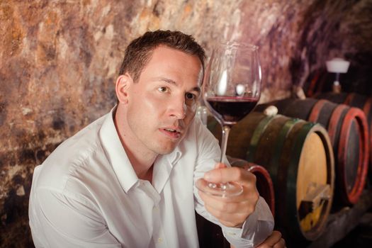 man having wine tasting in cellar, looking through the glass