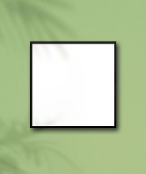 Black square picture frame hanging on a light green wall. Floral shadows. Blank mockup template