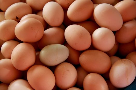 conde, bahia / brazil - september 17, 2012: chicken eggs for sale at an open market in the city of Conde.
