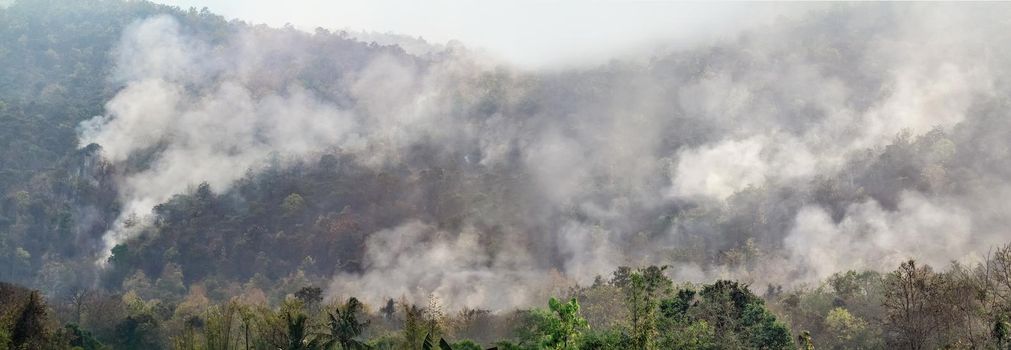 Amazon rain forest fire disaster is burning at a rate scientists have never seen before.