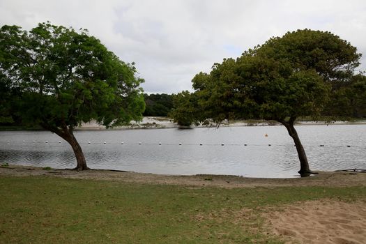 salvador, bahia, brazil - january 21, 2021: view of the waters of Lagoa do Abaete in the Itapua neighborhood in the city of Salvador.