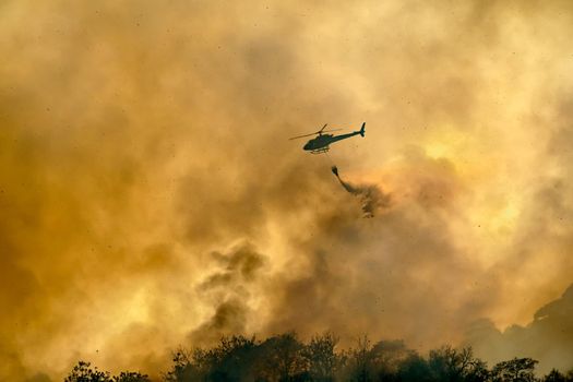 Helicopter dumping water on forest fire