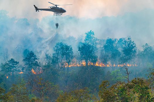 Helicopter dumping water on forest fire