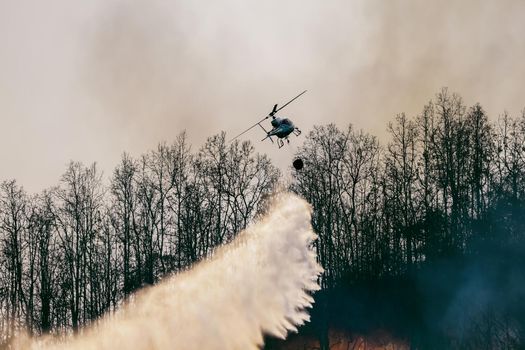 Helicopter dropping water on forest fire
