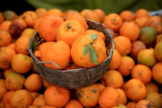salvador, bahia / brazil - july 10, 2020: tangerine fruit are seen for sale in the city of Salvador.