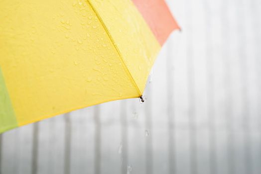 Rain drops on a colorful umbrella. Close up of colorful umbrella part with raindrops