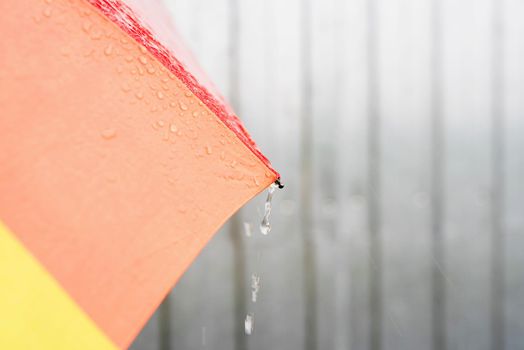 Rain drops on a colorful umbrella. Close up of colorful umbrella part with raindrops