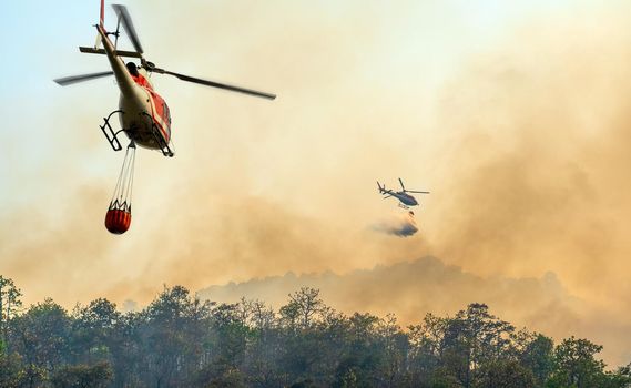 Helicopter dumping water on forest fire