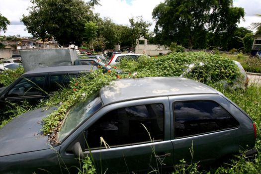 itabuna, bahia, / brazil - january 20, 2012: bush covers vehicles seized by the police at the Police Complex in the city of Itabuna, in southern Bahia.