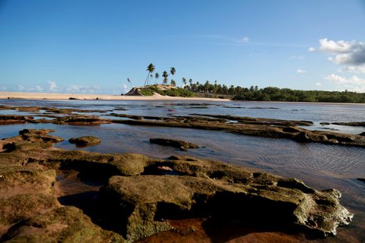 conder, bahia / brazil - september 9, 2012: Young man is seen at Barra do Itariri beach in the municipality of Conde, north coast of Bahia.

