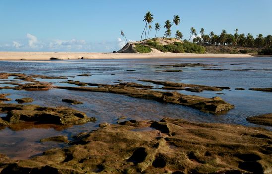 conder, bahia / brazil - september 9, 2012: Young man is seen at Barra do Itariri beach in the municipality of Conde, north coast of Bahia.

