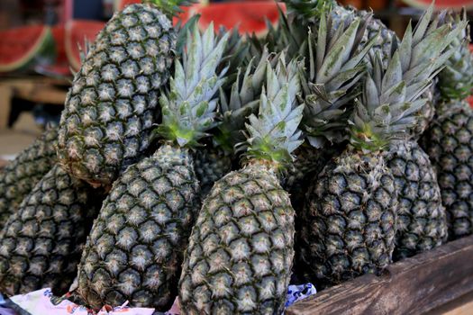 salvador, bahia, brazil - january 27, 2021: pineapple fruit for sale at the fair in japan, in the Liberdade neighborhood in the city of Salvador.