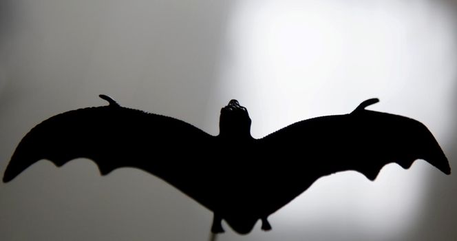 salvador, bahia / brazil - may 28, 2020: toy replica of bat animal.