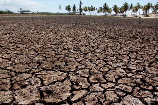 conde, bahia / brazil - março 27, 2013: drought-ravaged riverbed in northeastern Brazil. The lack of rain devastates the breeding of animals.