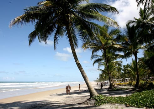 itacare, bahia / brazil - january 12, 2012: View of the Havaizinho Beach in Itacare. The place is between the sea and the Atlantic Forest, in southern Bahia.