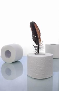 Rolls of soft toilet paper next to a bird's feather are a symbol of a gentle touch. Front view, copy space.