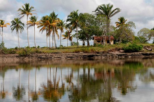 caravelas, bahia / brazil - march 25, 2008: area of the Cassuruba extractive reserve in the municipality of Caravela.


