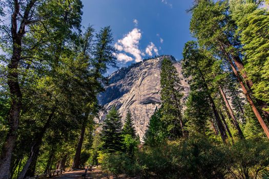 Yosemite valley, Yosemite national park, California, usa