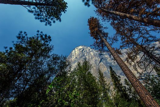 Yosemite valley, Yosemite national park, California, usa