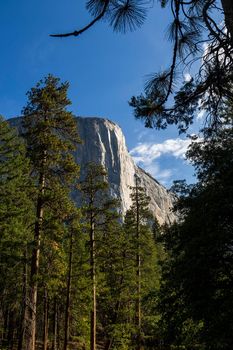 World famous rock climbing wall of El Capitan, Yosemite national park, California, usa