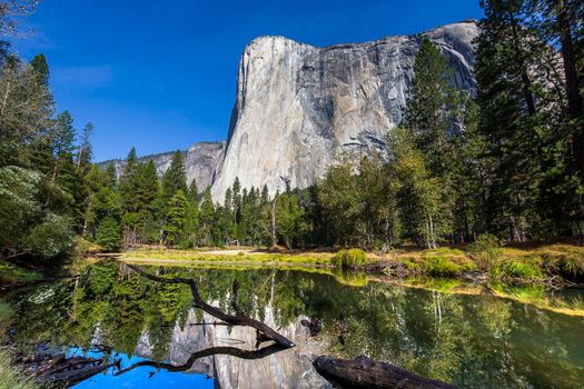 World famous rock climbing wall of El Capitan, Yosemite national park, California, usa