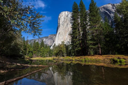 World famous rock climbing wall of El Capitan, Yosemite national park, California, usa