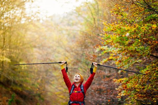 Hiking girl with poles and backpack on a trail. Hands up enjoying in nature. Travel and healthy lifestyle outdoors in fall season.