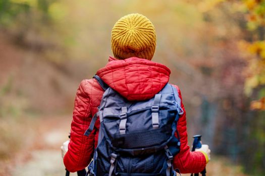 Hiking girl with poles and backpack on a trail. Backview. Travel and healthy lifestyle outdoors in fall season.